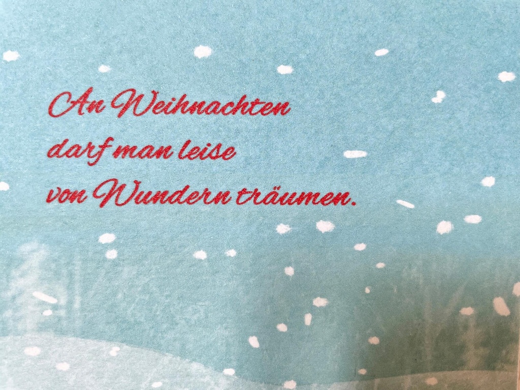 Elena Klein - Postkarte - Winterwunder Schneeleoparden - Spruch