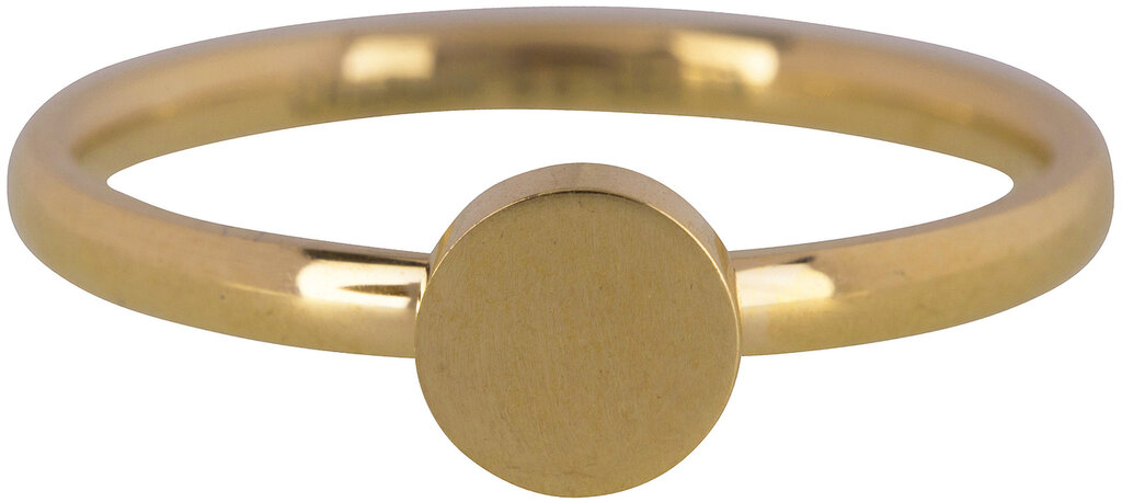 Charmins Ring - R424 - Fashion seal medium gold steel