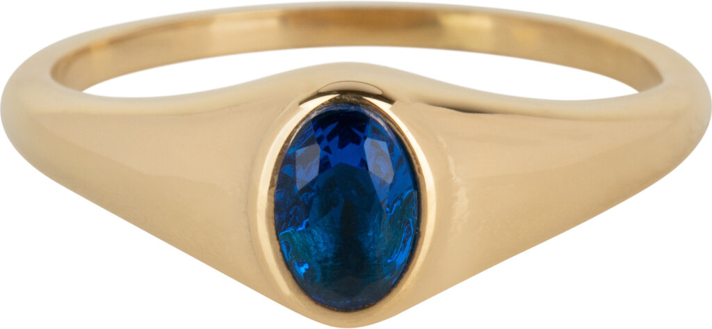 Charmins Ring - R1089 - Birthstone Siegelring September Blue Sapphire