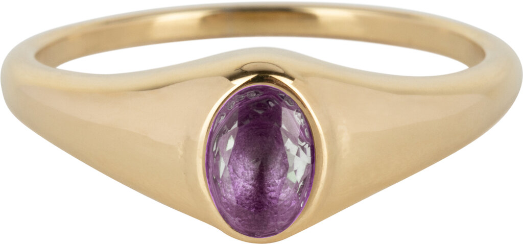 Charmins Ring - R1084 - Birthstone Siegelring Februari Purple Amethyst