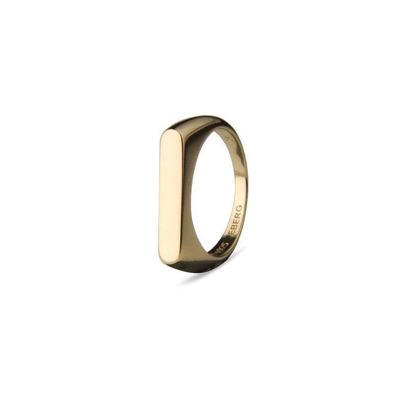 Jeberg Jewellery - Pretty Powerful Piece - Ring gold - 60410