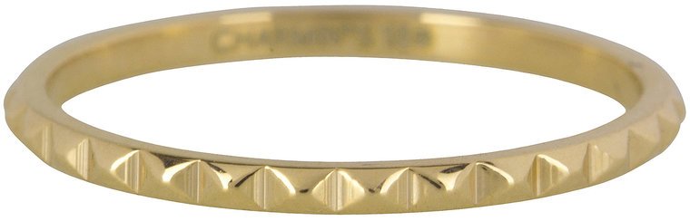 Charmins Ring - R403 - Nefertiti Gold Steel Ring