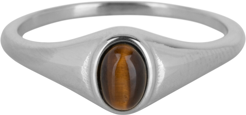 Charmins Ring - R1078 - Siegelring Oval Tigereye Stone Steel