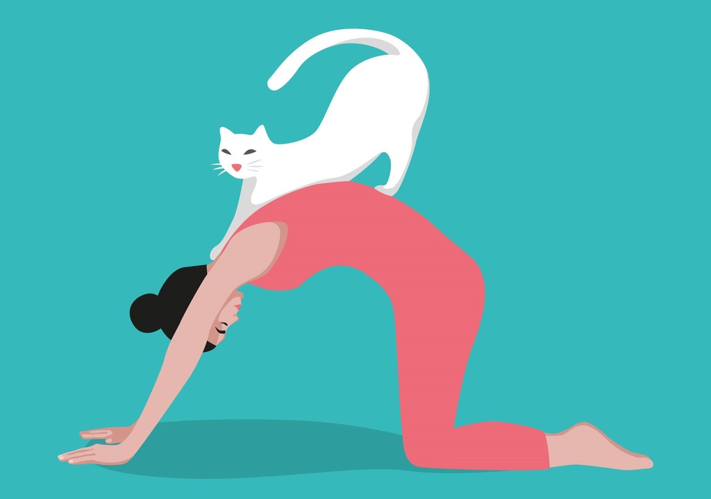 Nobis Design - Postkarte - Luminous - Yoga cat