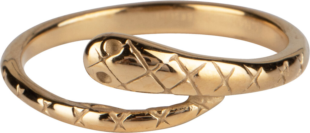 Charmins Ring - R1017 - Lucky snake gold