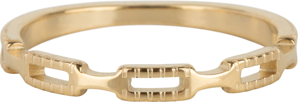 Charmins Ring - R1116 - Half Chain Tiny Gold