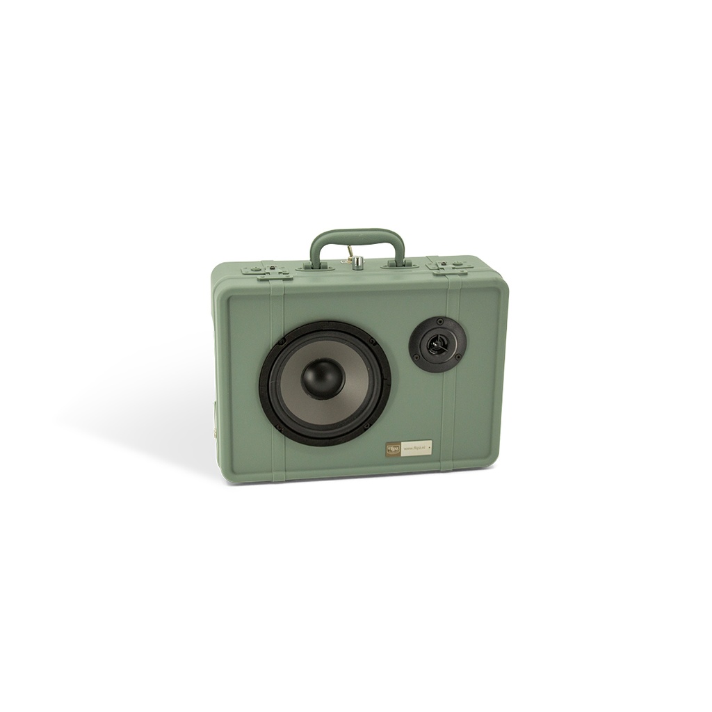 Flipz Speaker - Trunkstory green