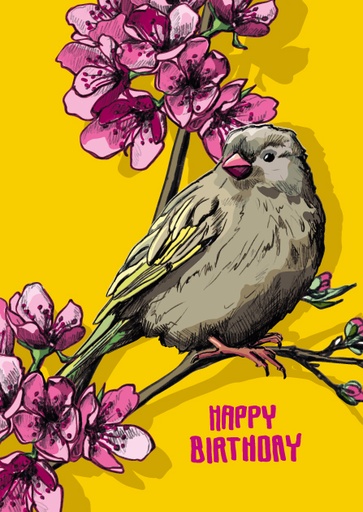 [IL0300] Nobis Design - Postkarte - illi - Sofi happy birthday