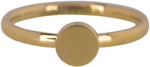 Charmins Ring - R424 - Fashion seal medium gold steel