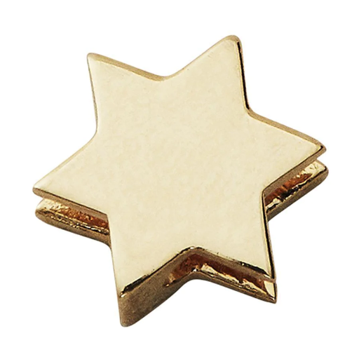 [90201551GOLD] Design Letters - Gold Star Charm gold